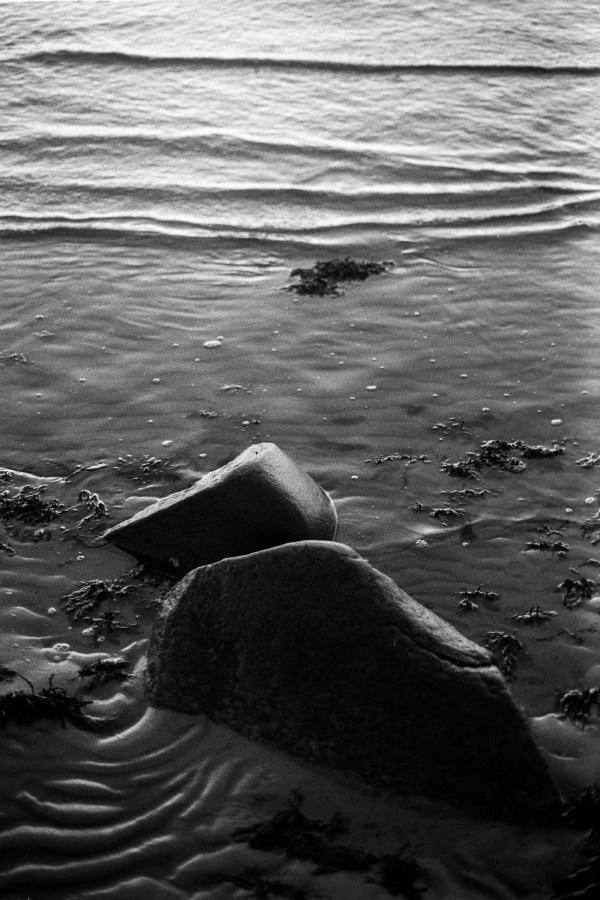 Summer Shore. Vitaly Severov