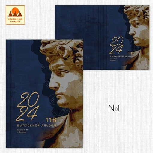 Варианты обложек. Выпускные альбомы Воронеж от Веры Соколовой