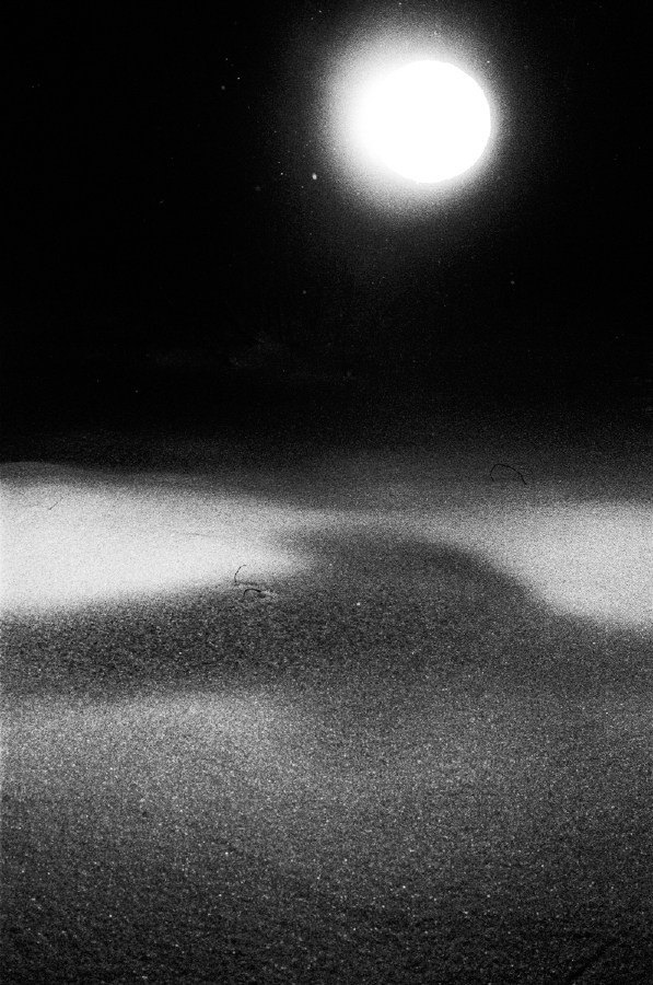 Summer Shore. Vitaly Severov