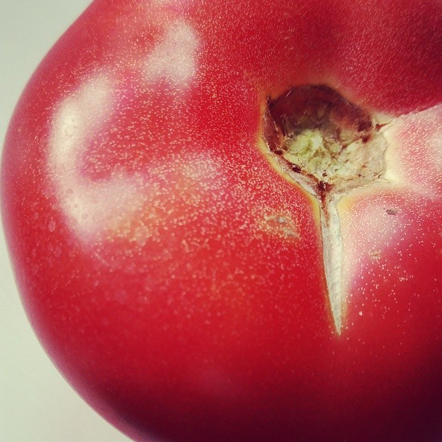 Bashnin instagramm. Заставка