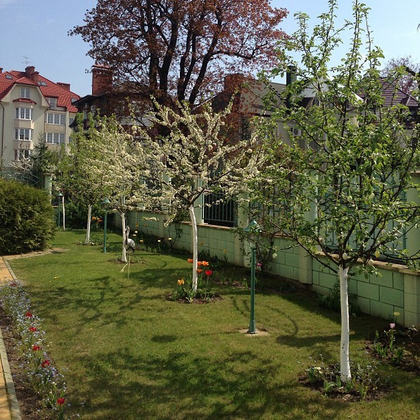 Мы с детьми сборник 1000 фото первая часть. Заставка