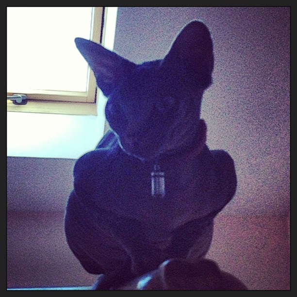 Мы с детьми сборник 1000 фото первая часть. Заставка