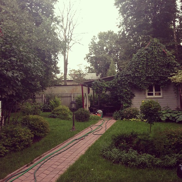 Bashnin instagramm. Заставка