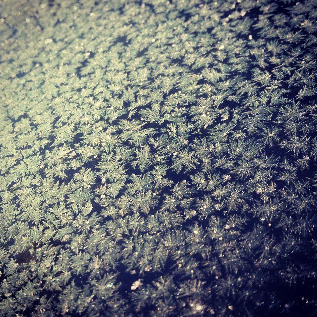 Bashnin instagramm. Заставка