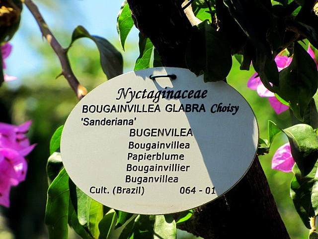 Хорватия: Стон, Трстено, Корчула — радости и гадости природы. Дарья Письменюк / Darya Leitstern — фотограф, музыкант, журналист, путешественник
