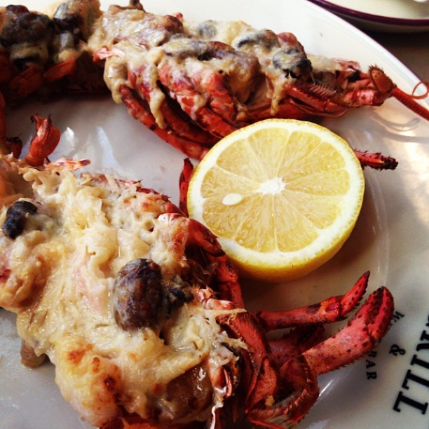 Bashnin instagramm. Заставка