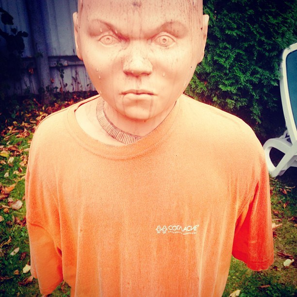 Bashnin instagramm. Заставка