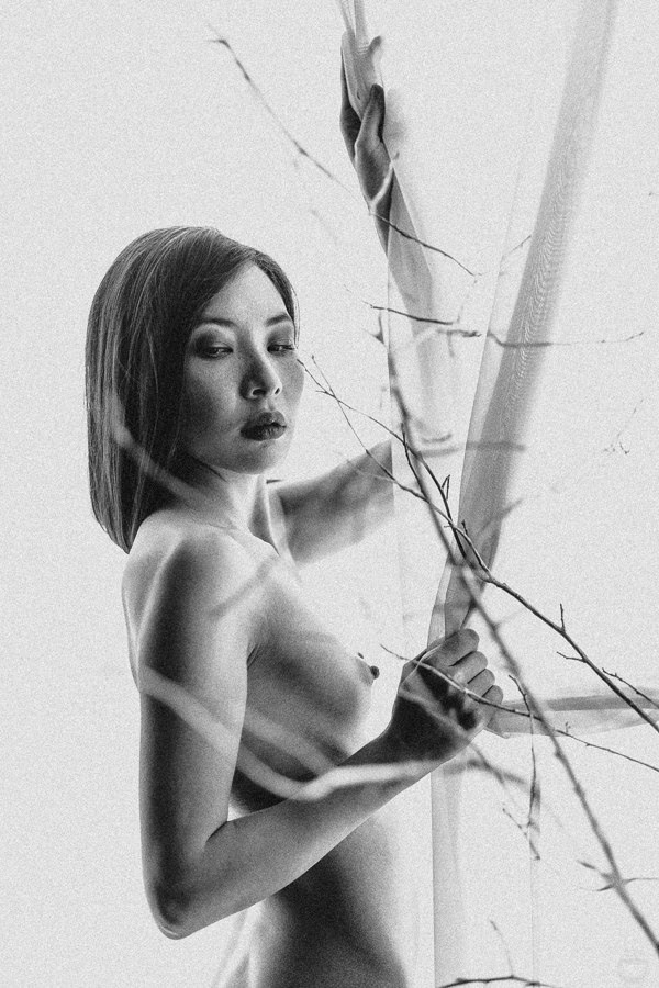 с использованием международных флагов