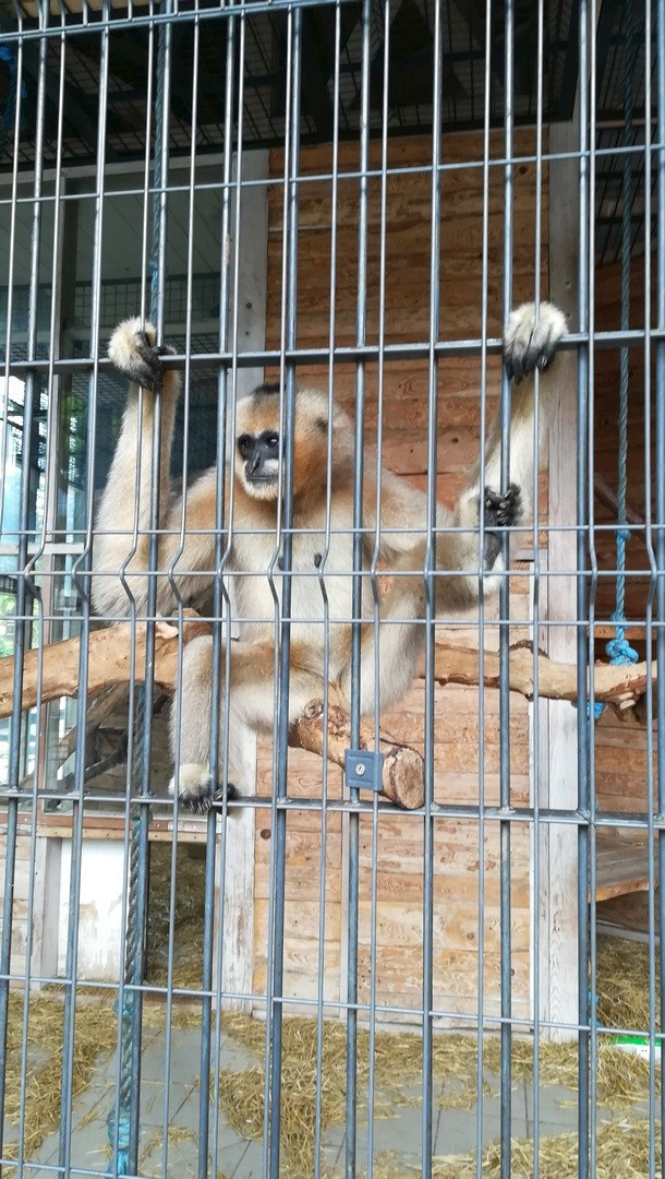 Крым 2020 г. Улица, люди, жизнь…