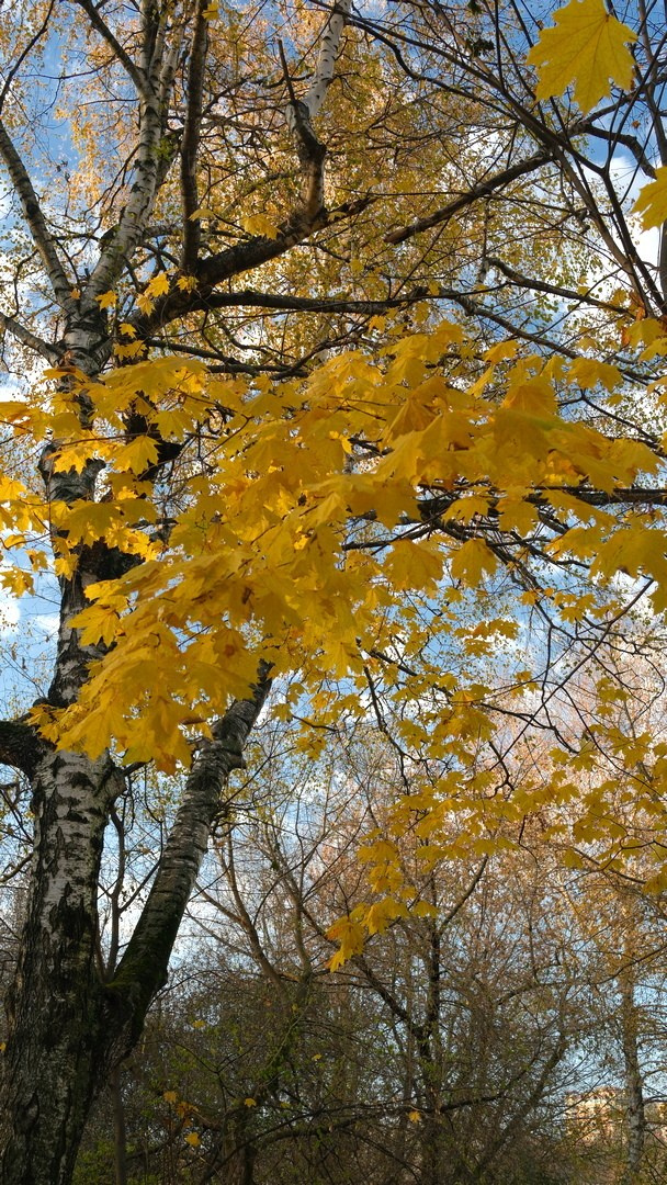 Люблинский парк 2023. Улица, люди, жизнь…