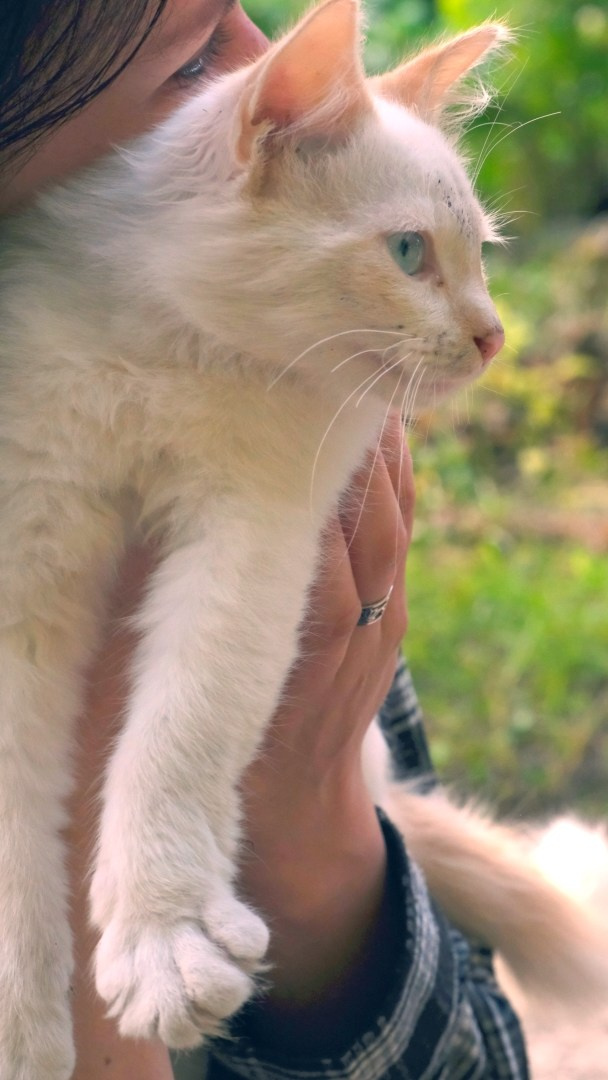 Witches of Green Hill / Ведьмы с Зеленого холма. Художник Катерина Копейкина / Artist Katerina Kopeikina