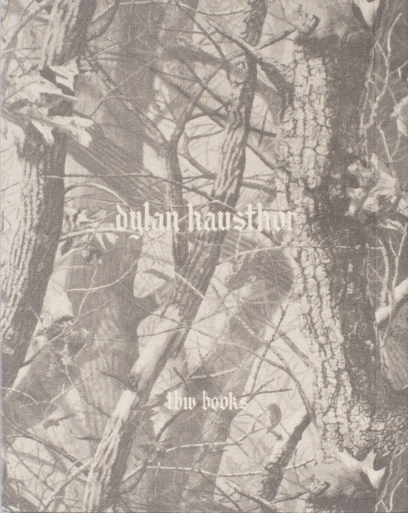 ФОТОКНИГА КАК ДИСЦИПЛИНА: (НЕ) СТРЕМИТЕЛЬНОЕ РАЗВИТИЕ. Самоорганизация Низина