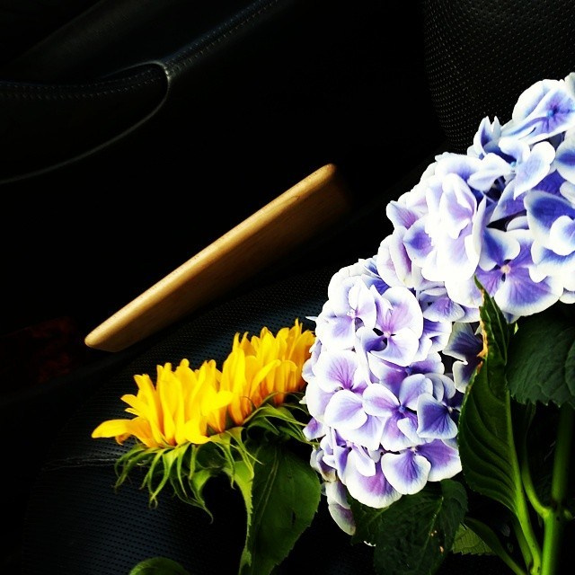 Bashnin instagramm. Заставка