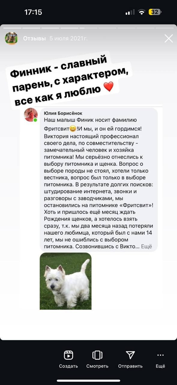 Фритсвит. Семейный фотограф Ефремова Виктория