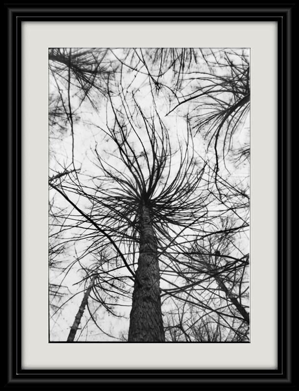 Author’s photo works in the ambrotype technique! Analog photography. Sergey Kondriuk art-photographer | artist