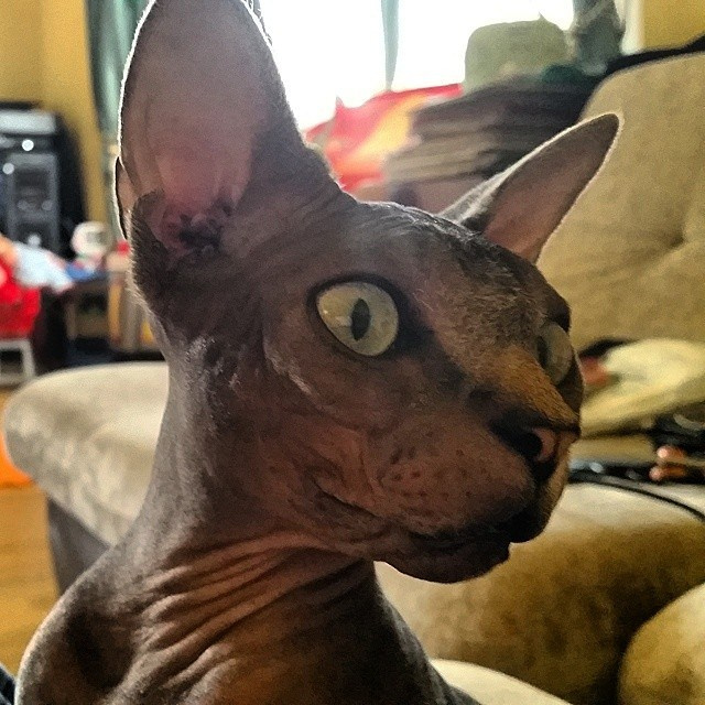 Bashnin instagramm. Заставка