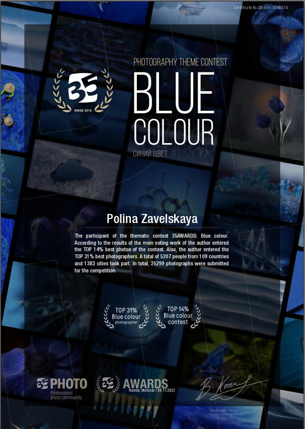 Награды и признание. Фотограф Полина Завельская