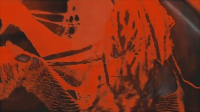 Video art. Visual artist Svetlana