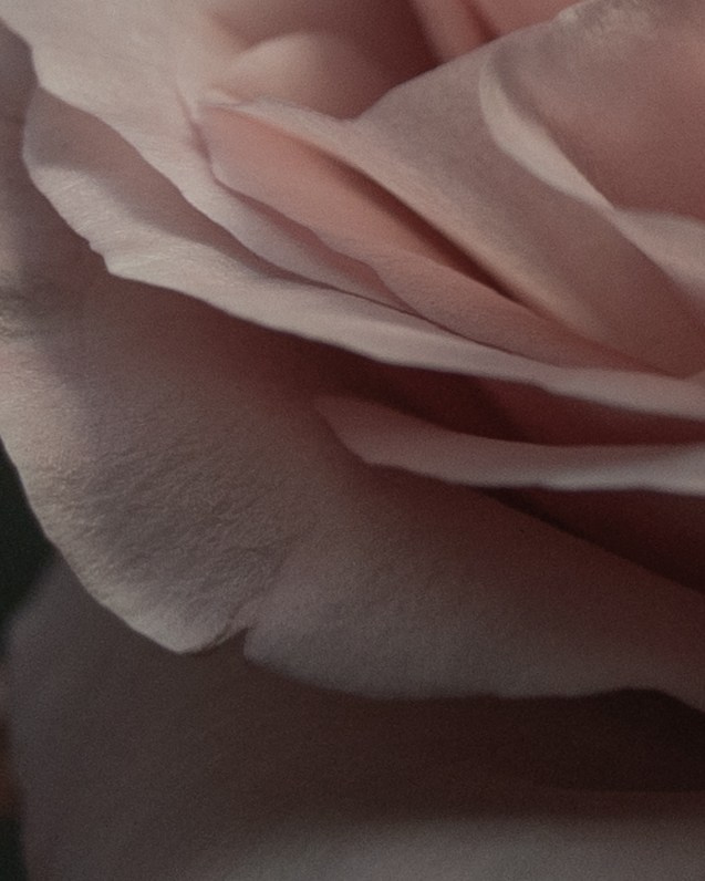 Ольга. Фотограф в Москве Мария Терентьева