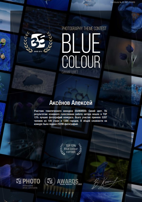 Достижения и награды фотографа Аксенов Алексей. Бизнес, мужской фотограф в Краснодаре | Аксёнов Алексей Владимирович