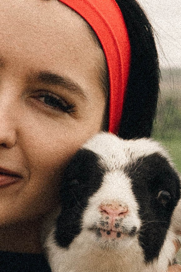 Ферма Альпак. Профессиональный фотограф, Санкт-Петербург — Виктория Богомолова