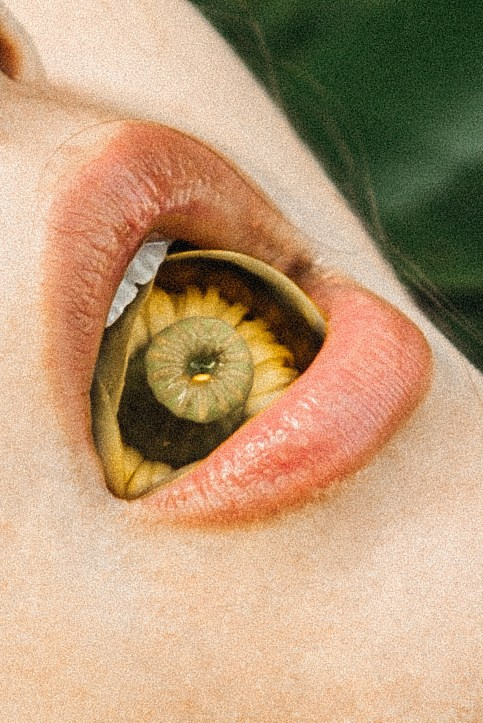 Индивидуальная. Виктория Кутуева Фотограф Санкт-Петербург