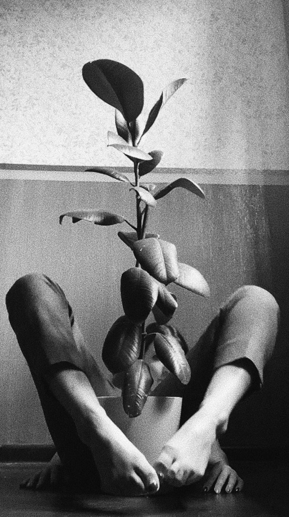 FaceTimePwr. Творчество, исцеление, эстетика и щепотка волшебства