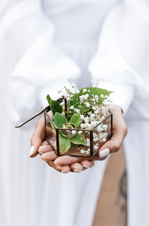 Виктор+Светлана=❀𖤣𖥧. Главная