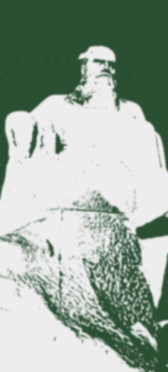 Мила Нишатова