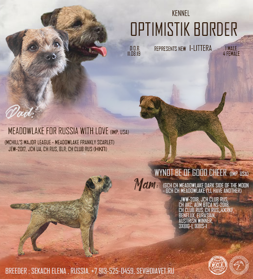 ПРЕЗЕНТАЦИИ. Фотограф-анималист Ольга Фомичева