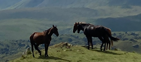 Отзывы. Зойкин Максим Валерьевич
