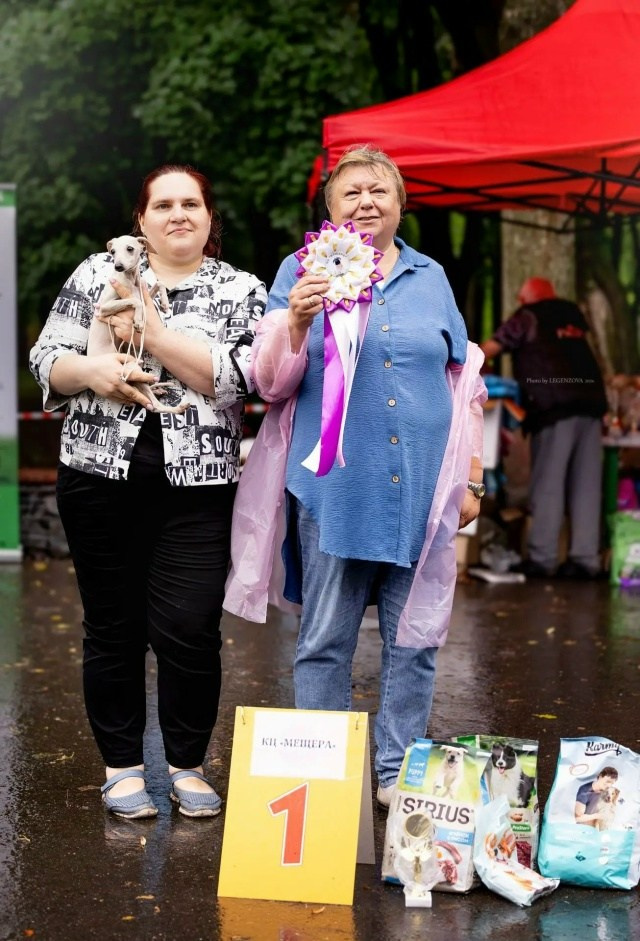 Жемчужная Печенька. Professional Italian Greyhound Kennel RKF/FCI ASTI SAPPHIRE 💎 Sochi|St. Petersburg