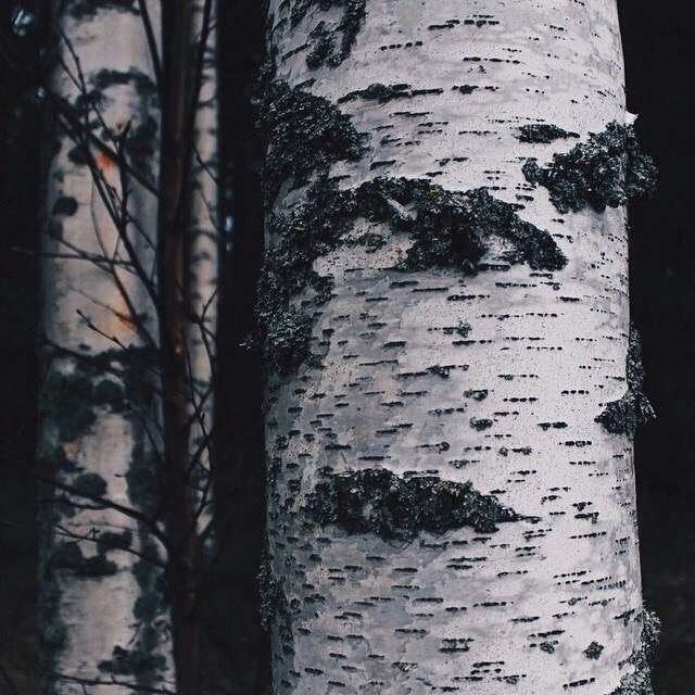 Finland. Photographer Yana Kotova