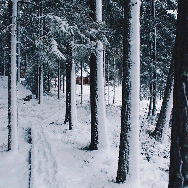 Finland. Photographer Yana Kotova