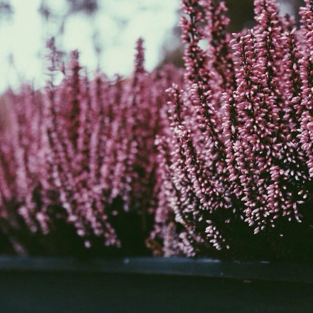 Finland. Photographer Yana Kotova