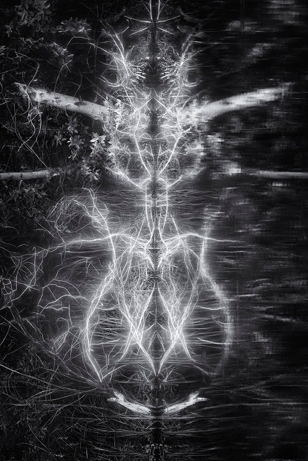 Phantoms. Aleksandr Leshchenok & Marina Ogneva|Interdisciplinary artists from Siberia