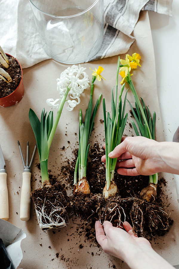 Лайфстайл. Фотограф Сергей Наревских