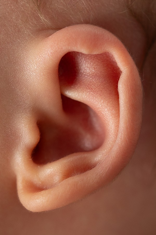 Ножки 🤞 и прочие макро снимки. Главная