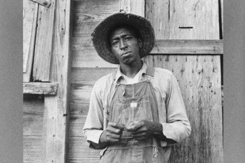 Фотографы, изменившие мир: Доротея Ланж. Фотограф Антон Швец — Монохромная реальность