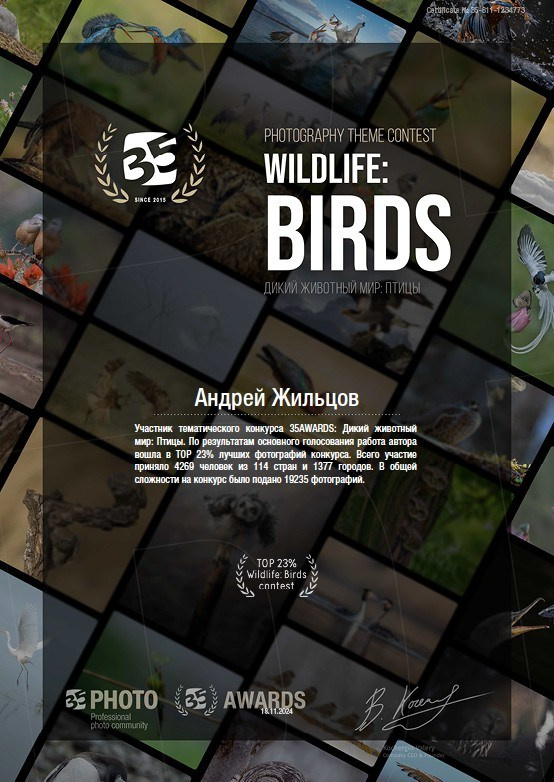 Репортажный фотограф детских спортивных мероприятий в Красноярске