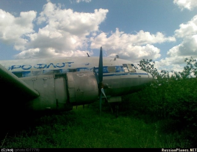 Ил-14 (Пермь, Фролы). Фотоальбом показывающий увлекательный мир авиации и мир медведей Андрея Иванова
