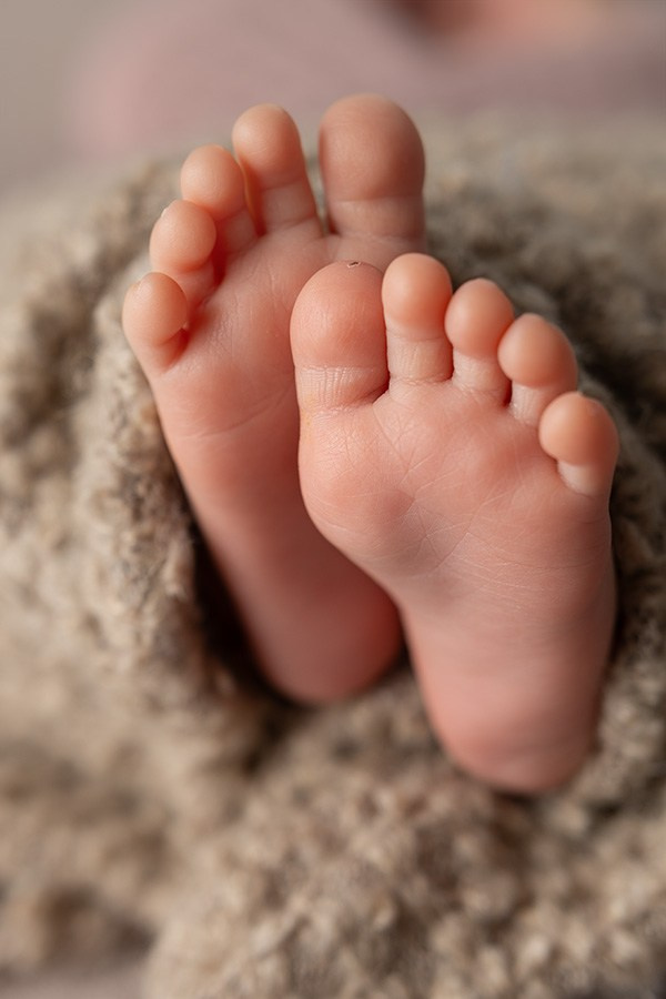 Ножки 🤞 и прочие макро снимки. Главная