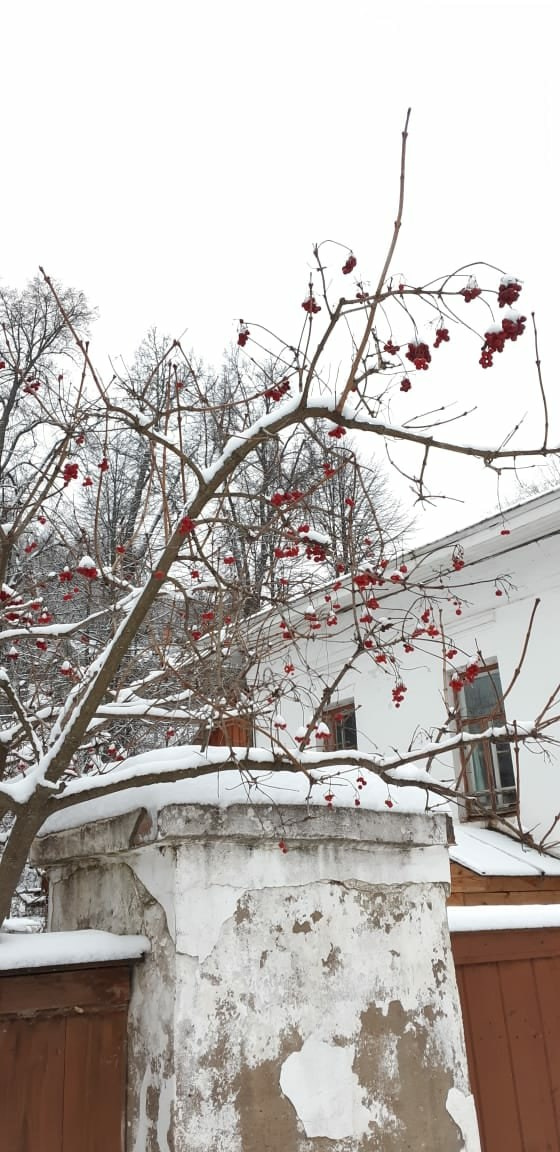 Иваново и Плёс | 21-22.11.2020. Галерея Фантим