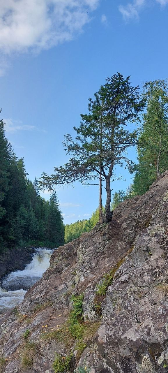 Карелия | 16-18.08.24. Галерея Фантим