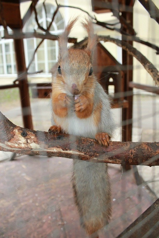 Детский день рождения! 2 года Funteamке. Галерея Фантим