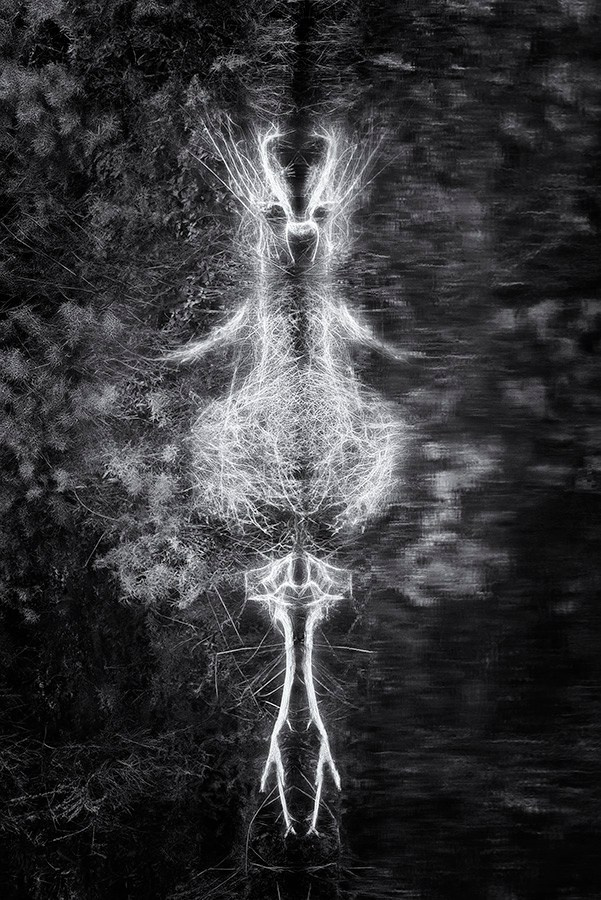 Phantoms. Aleksandr Leshchenok & Marina Ogneva|Interdisciplinary artists from Siberia