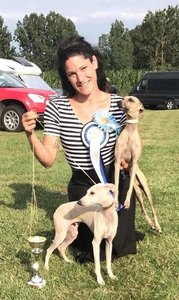 Чемпион Австрии и Вены. Professional Italian Greyhound Kennel RKF/FCI ASTI SAPPHIRE 💎 Sochi|St. Petersburg
