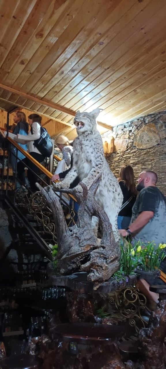 Кабардино-Балкария | 04-06.10.2024. Галерея Фантим