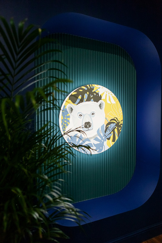 Дизайнерская выставка. Фото и видео для бизнеса Обнинск, Калуга, Москва