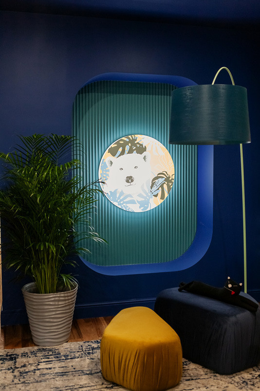 Дизайнерская выставка. Фото и видео для бизнеса Обнинск, Калуга, Москва